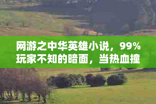 网游之中华英雄小说，99%玩家不知的暗面，当热血撞碎在3%的生存率里