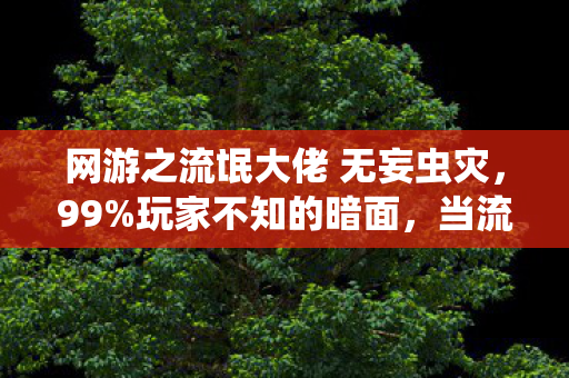 网游之流氓大佬 无妄虫灾，99%玩家不知的暗面，当流氓大佬的荣耀，成了996打工人的电子镣铐