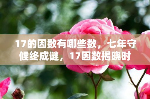 17的因数有哪些数，七年守候终成谜，17因数揭晓时泪目告别