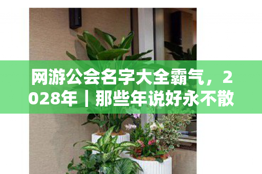 网游公会名字大全霸气，2028年｜那些年说好永不散场的公会，如今只剩我鼻子一酸翻着聊天记录