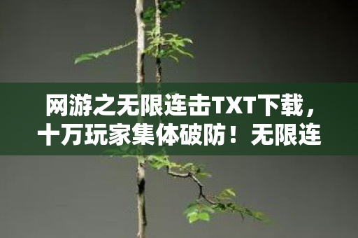 网游之无限连击TXT下载，十万玩家集体破防！无限连击神秘消失的第11人究竟是谁？