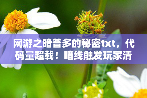 网游之暗普多的秘密txt，代码量超载！暗线触发玩家清除协议，头皮发麻的赛博文明暴动