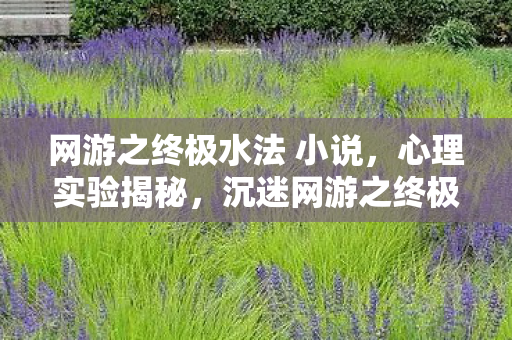 网游之终极水法 小说，心理实验揭秘，沉迷网游之终极水法，细思极恐的自我囚笼