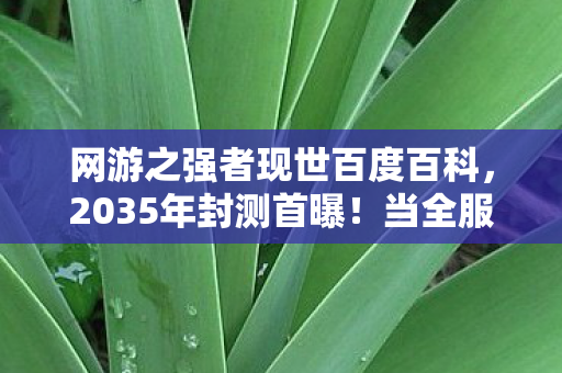 网游之强者现世百度百科，2035年封测首曝！当全服第一删号重来，他揭开了网游终极真相