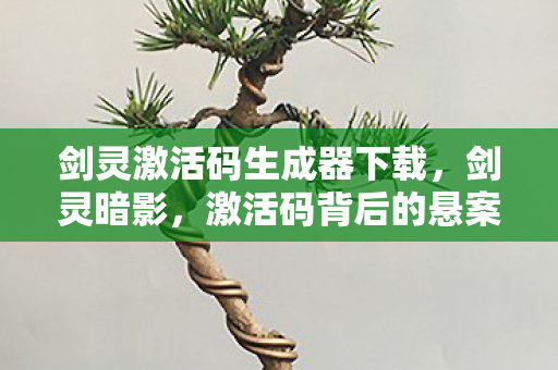 剑灵激活码生成器下载,剑灵暗影,激活码背后的悬案,毛骨悚然自掘坟墓之旅 剑灵激活码生成器下载,剑灵暗影,激活码背后的悬案,毛骨悚然自掘坟墓之旅
