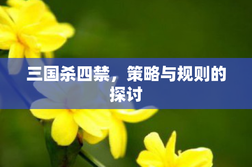 策略与规则的探讨图片