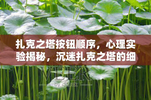 扎克之塔按钮顺序，心理实验揭秘，沉迷扎克之塔的细思极恐自我麻醉之旅