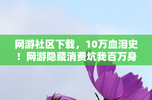 网游社区下载，10万血泪史！网游隐藏消费坑我百万身家？真相让人吓一跳！