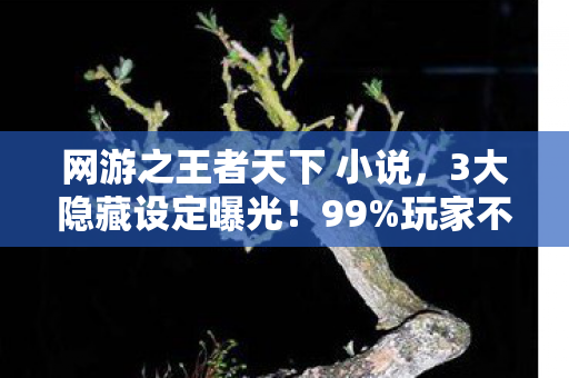 网游之王者天下 小说，3大隐藏设定曝光！99%玩家不知的真相，竟让百万玩家集体破防