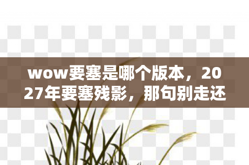wow要塞是哪个版本,2027年要塞残影,那句别走还在回响,鼻子一酸终成绝响 wow要塞是哪个版本,2027年要塞残影,那句别走还在回响,鼻子一酸终成绝响