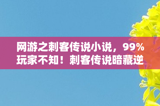 网游之刺客传说小说，99%玩家不知！刺客传说暗藏逆天机制，从菜鸟到神级竟只需3步？