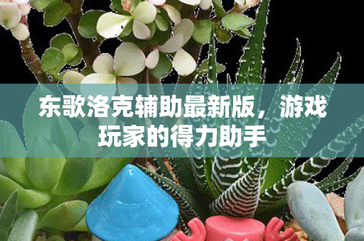 东歌洛克辅助最新版图片