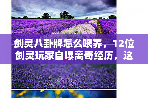 剑灵八卦牌怎么喂养，12位剑灵玩家自曝离奇经历，这疑点谁顶得住？采访者当场笑到绷不住