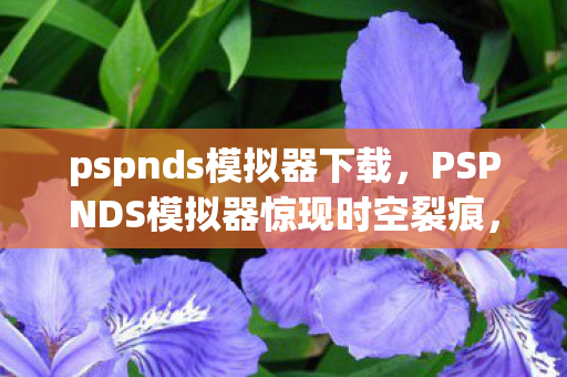 pspnds模拟器下载，PSPNDS模拟器惊现时空裂痕，未报案的悬案，毛骨悚然线索直指2027年