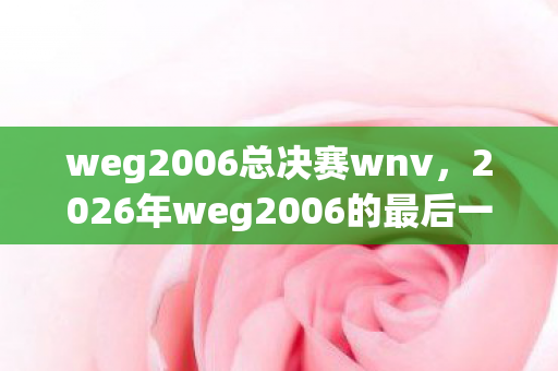 weg2006总决赛wnv，2026年weg2006的最后一页，伏笔藏了十年，鼻子一酸终成绝响