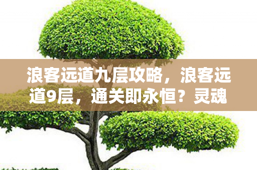 浪客远道九层攻略,浪客远道9层,通关即永恒?灵魂震颤的悖论深渊 浪客远道九层攻略,浪客远道9层,通关即永恒?灵魂震颤的悖论深渊