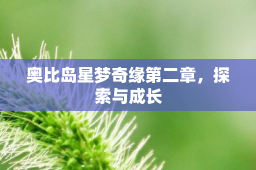 奥比岛星梦奇缘第二章图片