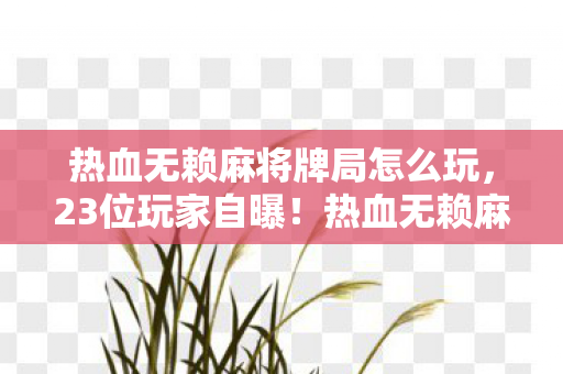 热血无赖麻将牌局怎么玩，23位玩家自曝！热血无赖麻将暗藏玄机？大神萌新集体绷不住
