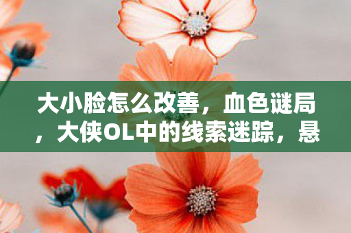 大小脸怎么改善,血色谜局,大侠OL中的线索迷踪,悬案背后毛骨悚然真相 大小脸怎么改善,血色谜局,大侠OL中的线索迷踪,悬案背后毛骨悚然真相