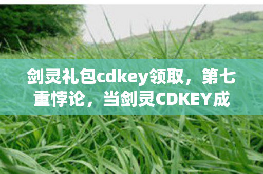 剑灵礼包cdkey领取，第七重悖论，当剑灵CDKEY成为命运枷锁，自由意志在数据洪流中震颤