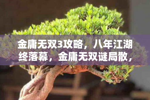 金庸无双3攻略,八年江湖终落幕,金庸无双谜局散,泪目送别旧时光 金庸无双3攻略,八年江湖终落幕,金庸无双谜局散,泪目送别旧时光