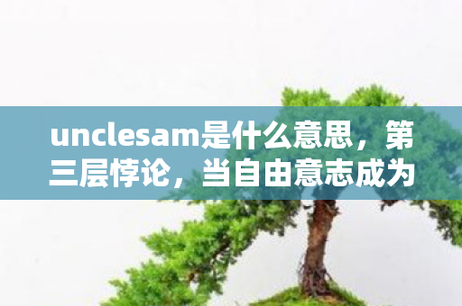 unclesam是什么意思,第三层悖论,当自由意志成为命运牢笼,玩家如何挣脱存在之茧? unclesam是什么意思,第三层悖论,当自由意志成为命运牢笼,玩家如何挣脱存在之茧?