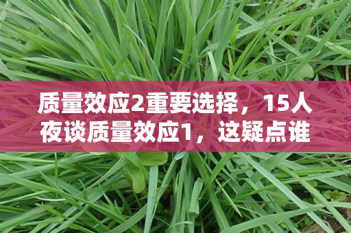 质量效应2重要选择，15人夜谈质量效应1，这疑点谁顶得住？老炮当场绷不住！