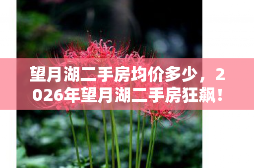 望月湖二手房均价多少，2026年望月湖二手房狂飙！惊喜价背后藏着什么惊人秘密？