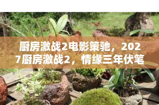 厨房激战2电影策驰，2027厨房激战2，情缘三年伏笔终揭晓，凌晨三点鼻子一酸谁在等？
