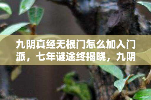 九阴真经无根门怎么加入门派,七年谜途终揭晓,九阴真经无根门入会秘辛泪目曝光 九阴真经无根门怎么加入门派,七年谜途终揭晓,九阴真经无根门入会秘辛泪目曝光