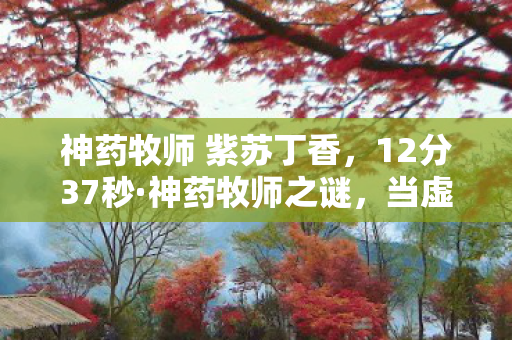 神药牧师 紫苏丁香,12分37秒·神药牧师之谜,当虚拟圣光照亮现实泪目 神药牧师 紫苏丁香,12分37秒·神药牧师之谜,当虚拟圣光照亮现实泪目