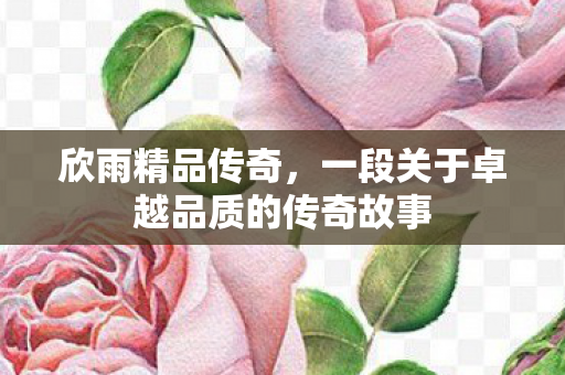 一段关于卓越品质的传奇故事图片