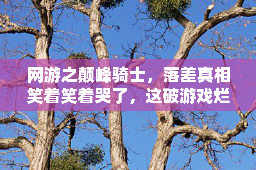 网游之颠峰骑士,落差真相笑着笑着哭了,这破游戏烂到祖坟冒烟,可我还是在深夜点开了登录界面 网游之颠峰骑士,落差真相笑着笑着哭了,这破游戏烂到祖坟冒烟,可我还是在深夜点开了登录界面