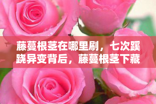 藤蔓根茎在哪里刷,七次蹊跷异变背后,藤蔓根茎下藏着让我后背发凉的真相 藤蔓根茎在哪里刷,七次蹊跷异变背后,藤蔓根茎下藏着让我后背发凉的真相