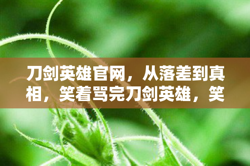 刀剑英雄官网,从落差到真相,笑着骂完刀剑英雄,笑着笑着哭了 刀剑英雄官网,从落差到真相,笑着骂完刀剑英雄,笑着笑着哭了