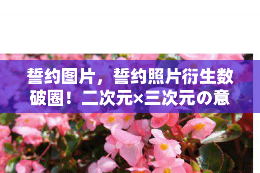 誓约图片,誓约照片衍生数破圈!二次元×三次元の意想不到联名狂欢 誓约图片,誓约照片衍生数破圈!二次元×三次元の意想不到联名狂欢