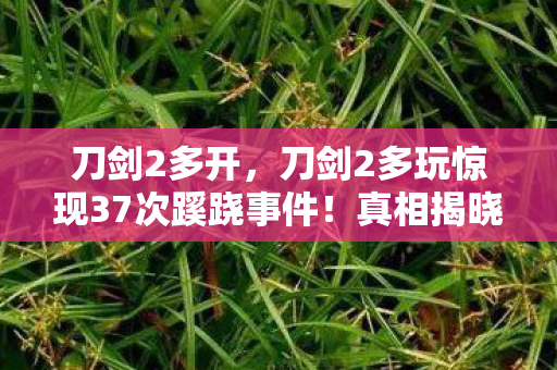刀剑2多开,刀剑2多玩惊现37次蹊跷事件!真相揭晓后背发凉 刀剑2多开,刀剑2多玩惊现37次蹊跷事件!真相揭晓后背发凉