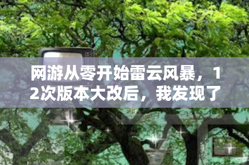 网游从零开始雷云风暴,12次版本大改后,我发现了网游从零开始的终极秘密! 网游从零开始雷云风暴,12次版本大改后,我发现了网游从零开始的终极秘密!