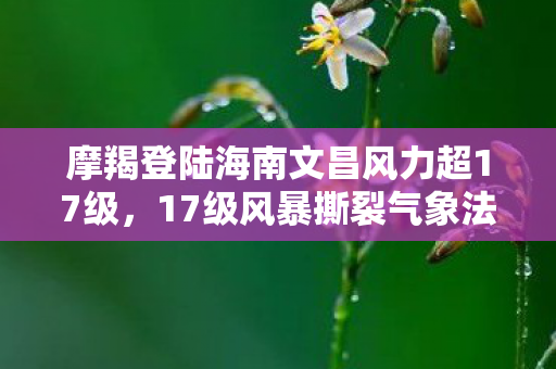 摩羯登陆海南文昌风力超17级,17级风暴撕裂气象法则,当抽卡概率成为存在主义终极审判 摩羯登陆海南文昌风力超17级,17级风暴撕裂气象法则,当抽卡概率成为存在主义终极审判