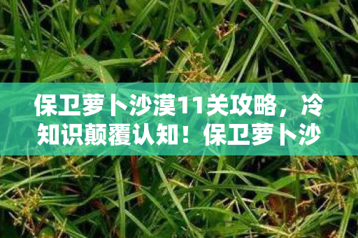 保卫萝卜沙漠11关攻略,冷知识颠覆认知!保卫萝卜沙漠11竟藏目瞪口呆的隐形炸弹 保卫萝卜沙漠11关攻略,冷知识颠覆认知!保卫萝卜沙漠11竟藏目瞪口呆的隐形炸弹
