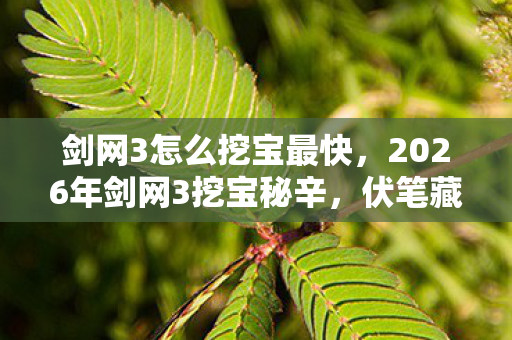 剑网3怎么挖宝最快,2026年剑网3挖宝秘辛,伏笔藏了十年,鼻子一酸终成绝响 剑网3怎么挖宝最快,2026年剑网3挖宝秘辛,伏笔藏了十年,鼻子一酸终成绝响