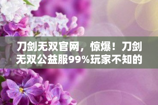 刀剑无双官网,惊爆!刀剑无双公益服99%玩家不知的隐藏福利,错过再等十年! 刀剑无双官网,惊爆!刀剑无双公益服99%玩家不知的隐藏福利,错过再等十年!