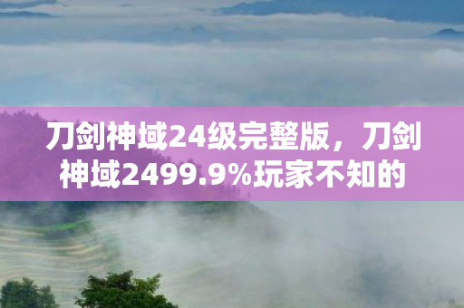 刀剑神域24级完整版,刀剑神域2499.9%玩家不知的隐藏机制!暴击率竟被暗改37%? 刀剑神域24级完整版,刀剑神域2499.9%玩家不知的隐藏机制!暴击率竟被暗改37%?