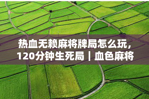 热血无赖麻将牌局怎么玩,120分钟生死局|血色麻将谜局,当AI验尸官揭开第108具尸体的泪目真相 热血无赖麻将牌局怎么玩,120分钟生死局|血色麻将谜局,当AI验尸官揭开第108具尸体的泪目真相