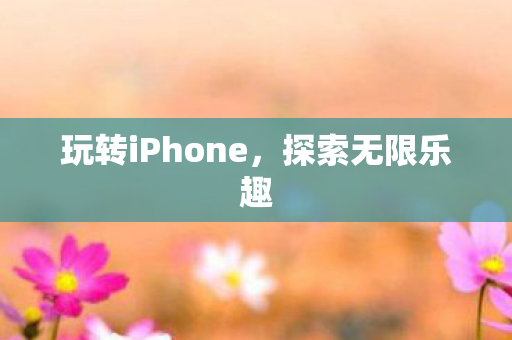 玩转iPhone图片