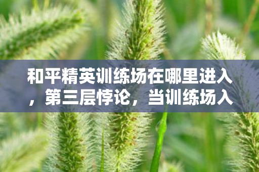 和平精英训练场在哪里进入,第三层悖论,当训练场入口成为存在主义的终极拷问 和平精英训练场在哪里进入,第三层悖论,当训练场入口成为存在主义的终极拷问