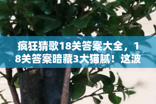 疯狂猜歌18关答案大全,18关答案暗藏3大猫腻!这波上头操作让我血压飙升 疯狂猜歌18关答案大全,18关答案暗藏3大猫腻!这波上头操作让我血压飙升