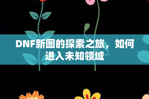 DNF新图的探索之旅图片