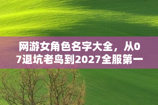 网游女角色名字大全,从07退坑老鸟到2027全服第一女神,这ID背后藏着多少惊天反转? 网游女角色名字大全,从07退坑老鸟到2027全服第一女神,这ID背后藏着多少惊天反转?
