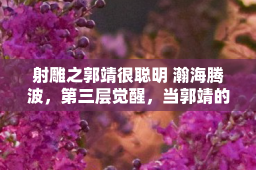 射雕之郭靖很聪明 瀚海腾波,第三层觉醒,当郭靖的愚钝成为命运最高阶的自由悖论 射雕之郭靖很聪明 瀚海腾波,第三层觉醒,当郭靖的愚钝成为命运最高阶的自由悖论